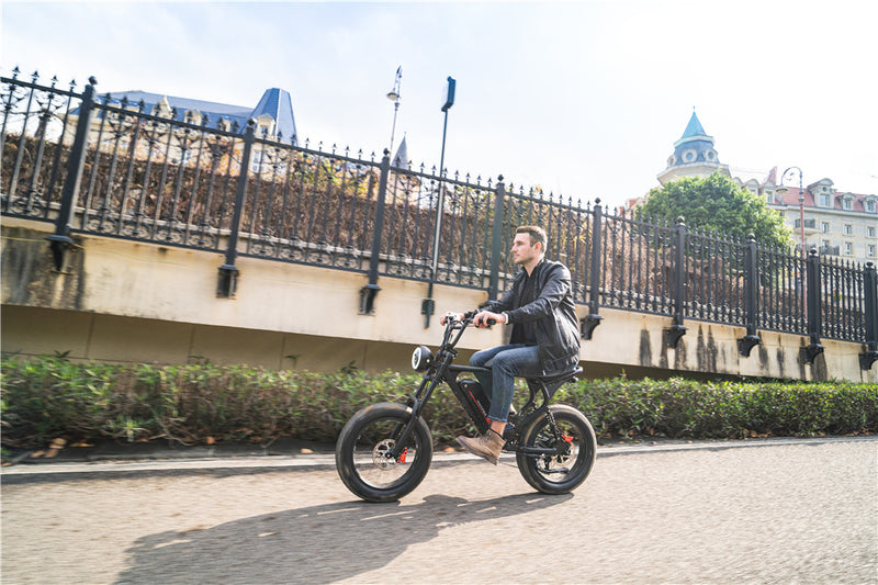 Best 750 Watt Electric Bike