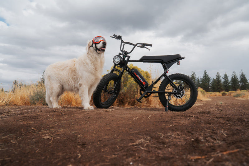 Best Bike Routes in Illinois for All Skill Levels | Macfox