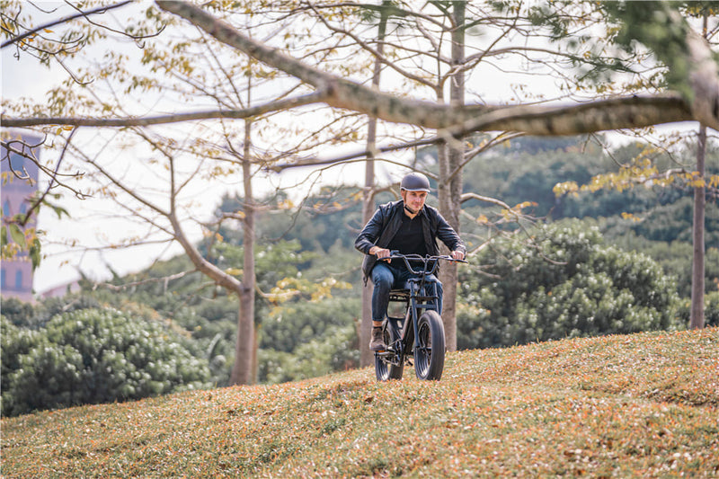 Best Electric Bike Battery