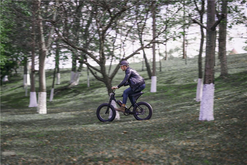 Best Off Road Electric Bikes