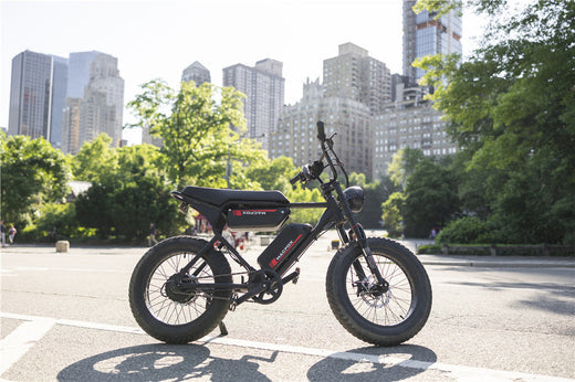 Can a Fat Tire Electric Bike Replace Your Mountain Bike