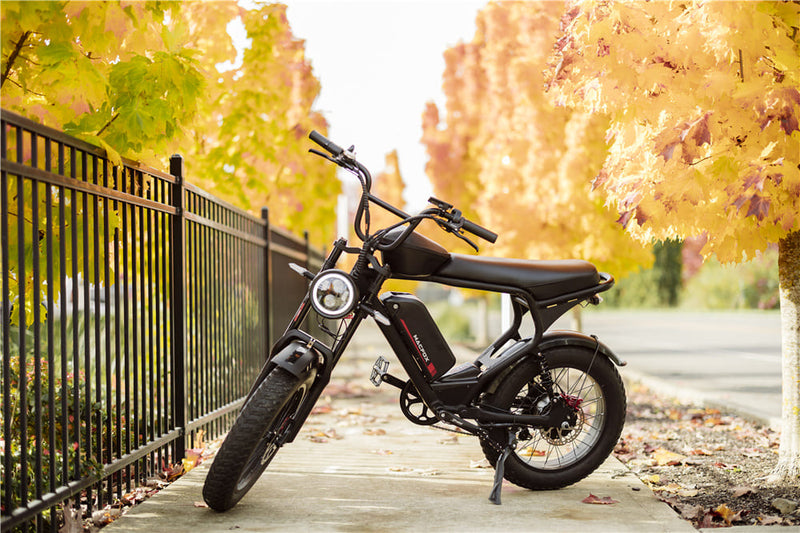 Electric Bicycle Mountain Bike | Macfox