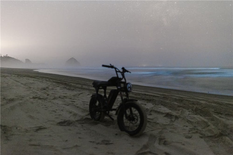 Electric Bikes Pedal Assist | Macfox