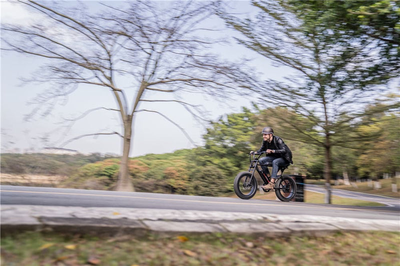 Inexpensive Electric Bicycles | Macfox