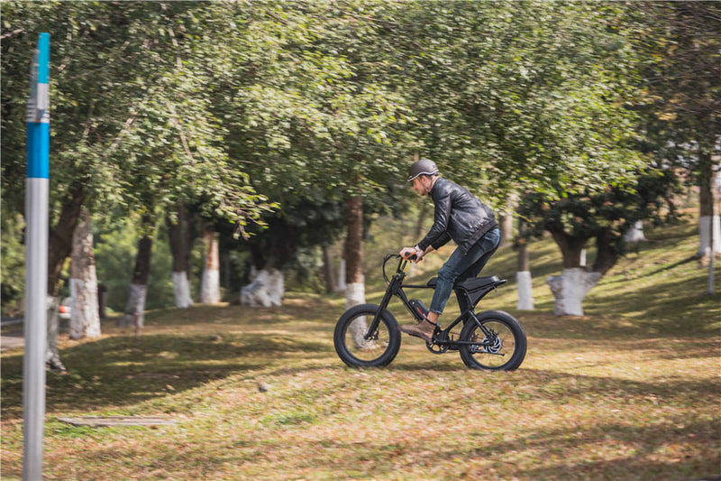 Mid Motor Electric Bike