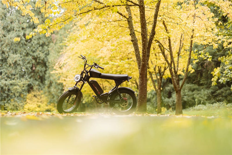 Off Road Electric Bike Street | Macfox Electric Bike