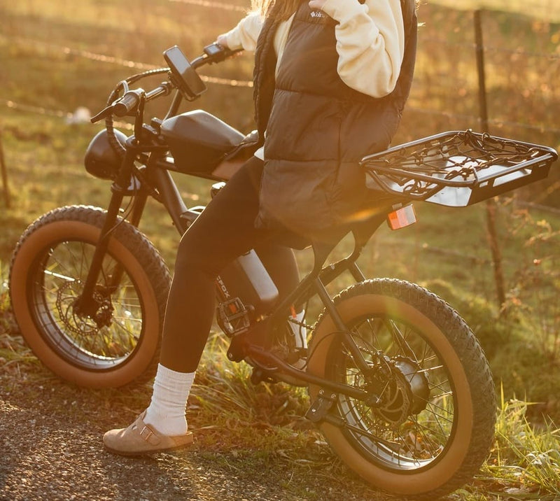 Two Batteries On Ebike | Macfox Electric Bike