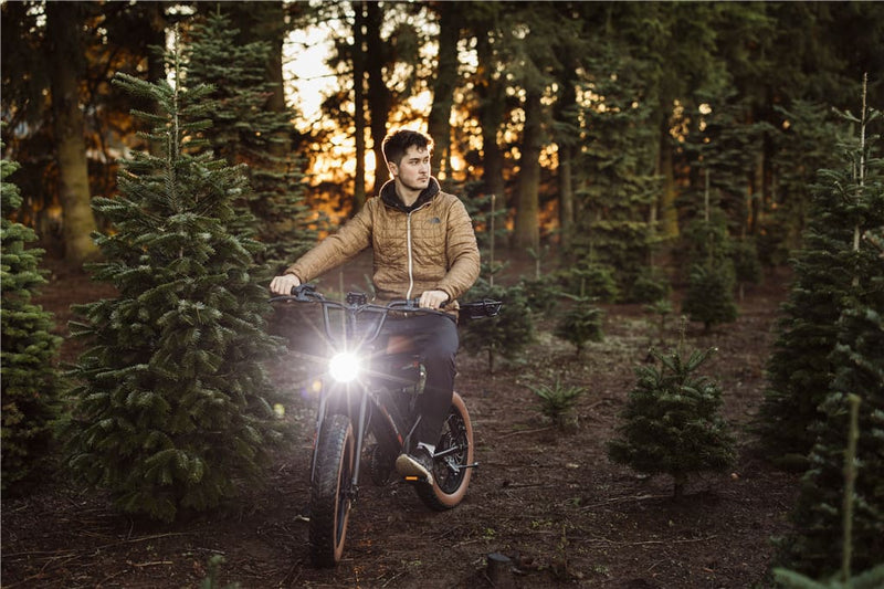 500W Ebike | Macfox Electric Bike