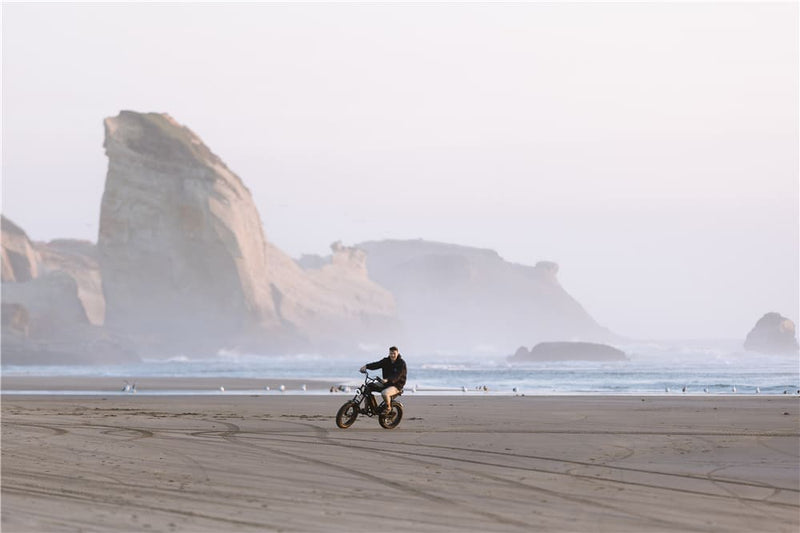 Adult Fat Tire Electric Bike Beach Ride | Macfox Electric Bike