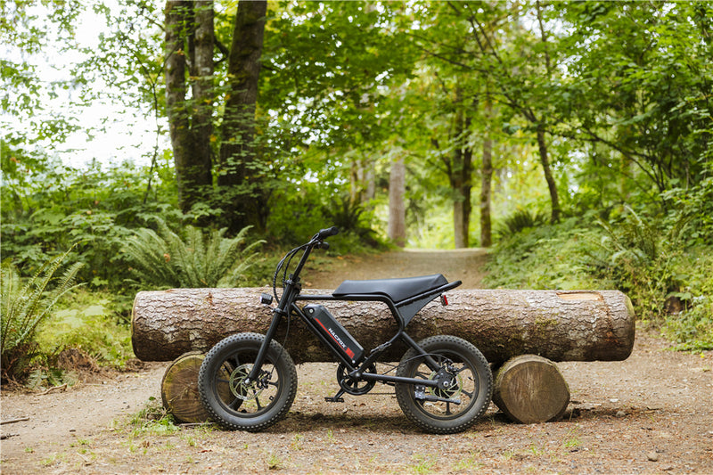 Are Walmart E Bikes Worth It | Macfox