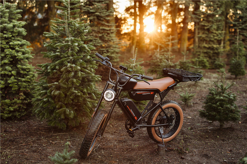 Basic Maintenance of Macfox Electric Bicycle | Macfox