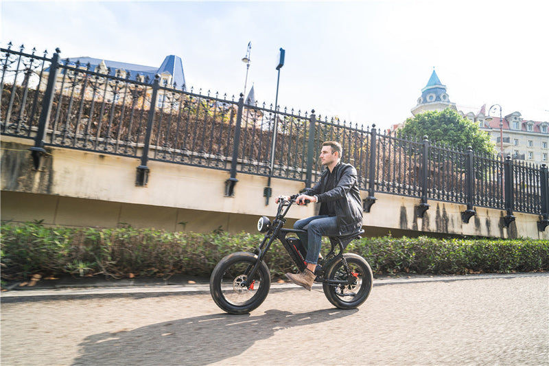 Best 750 Watt Electric Bike