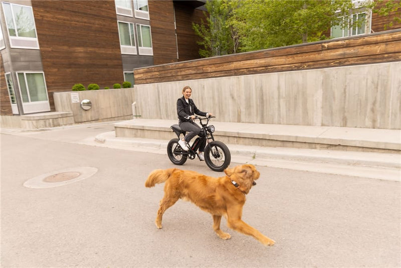 Best Affordable Electric Bicycle | Macfox