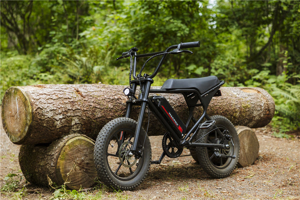 electric bicycle assist Aventon Waterproof and easy to install Best Pedal Assist Electric Bike