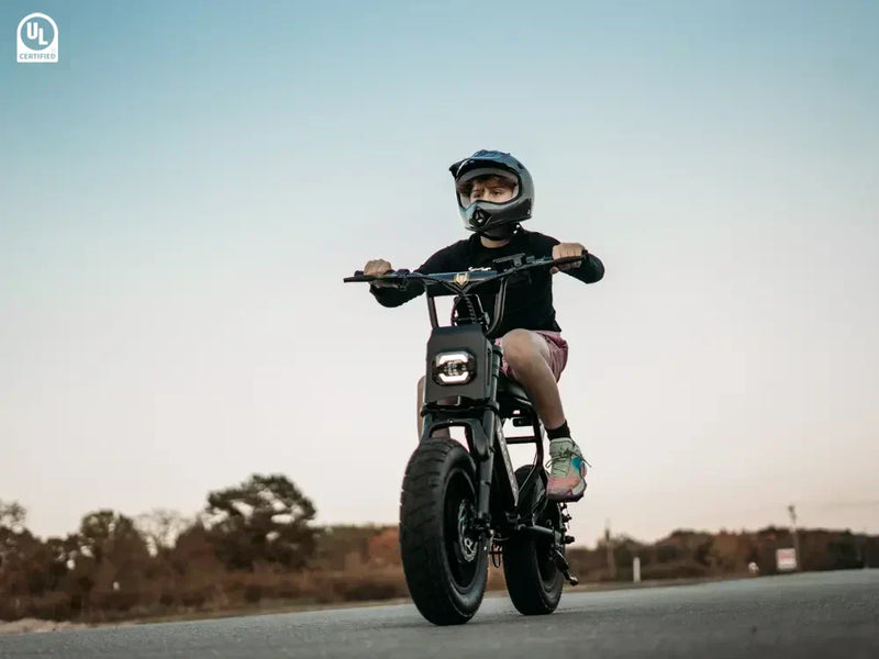 Macfox M16 Electric Bike Comprehensive Guide