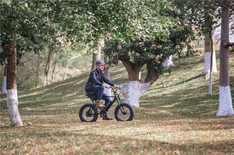 Fat Tire E Bike