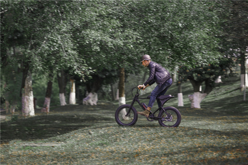 Electric Pedal Assist Bike