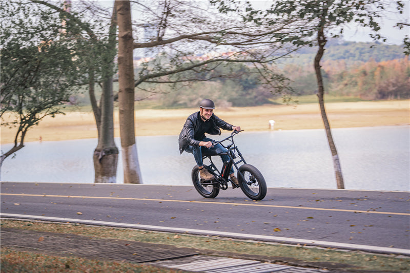 Long Range Ebike