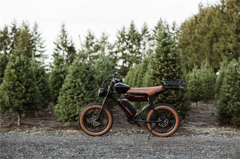 E Bike Braking System | Macfox Electric Bike