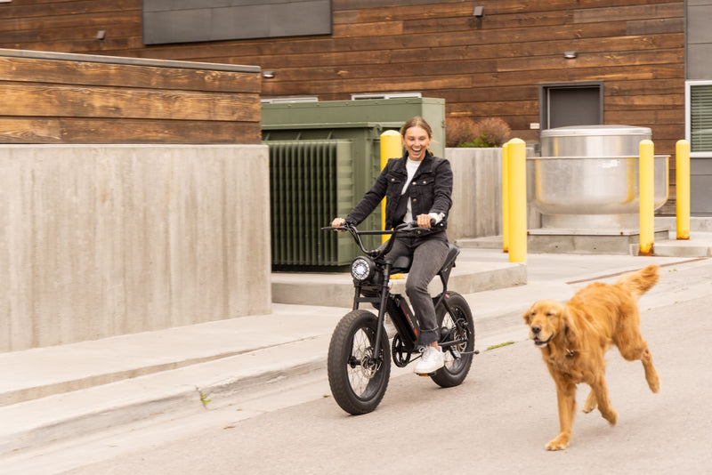 E Bike Levels | Macfox