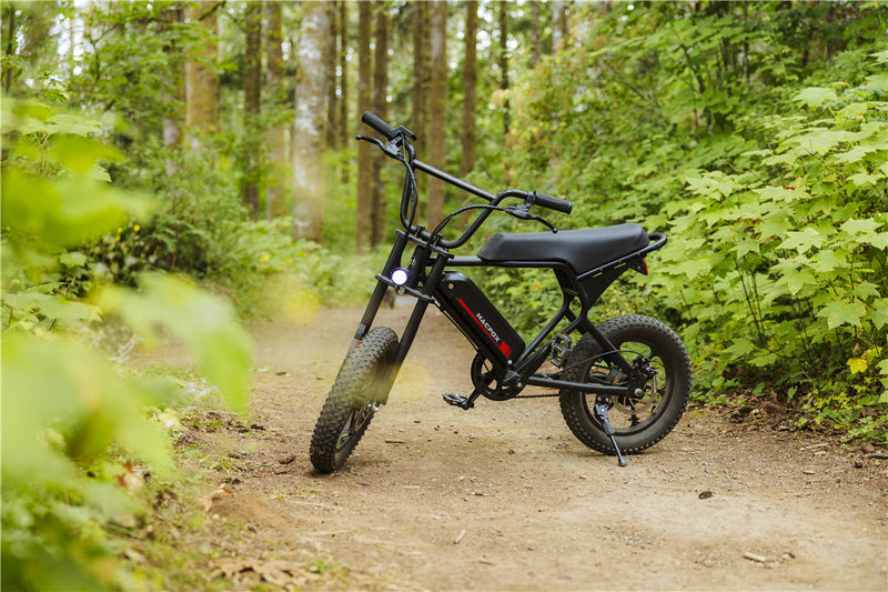 Ebike Trends Us