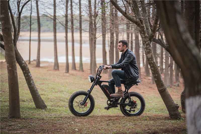 Electric Bicycle For Hunting