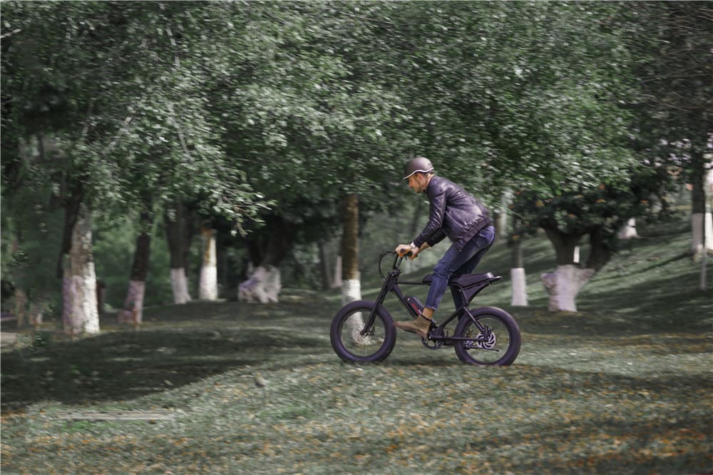articles/Electric-Bike-750w-48v.jpg