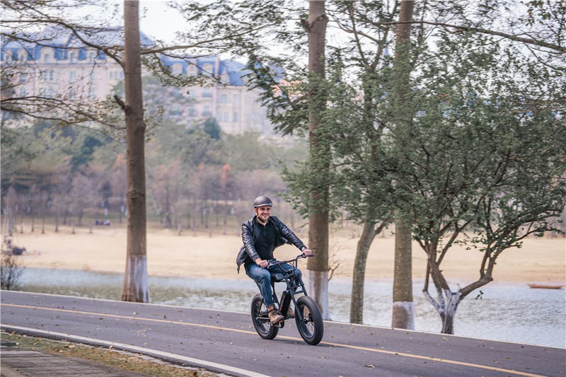 Electric Bike For Big And Tall