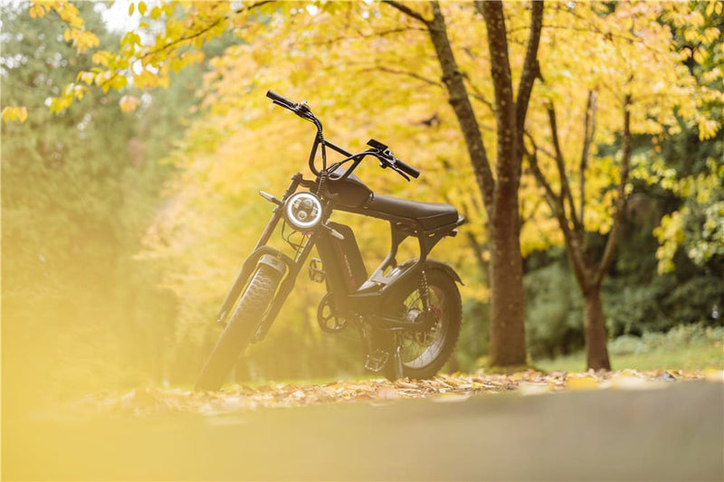Electric Bike Holiday Gift Ideas for All Ages | Macfox