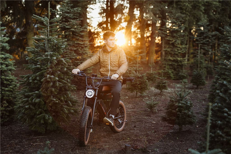 Electric Bike Is Popular | Macfox Electric Bike