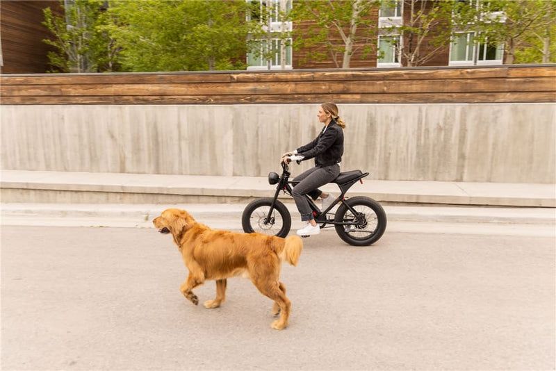 Electric Bikes That Look Like Dirt Bikes | Macfox