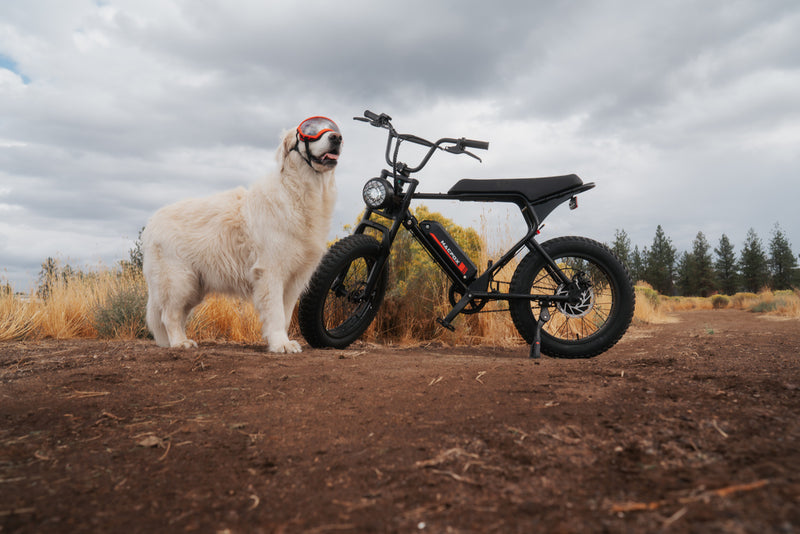 How Many CC in an Electric Bike | Macfox
