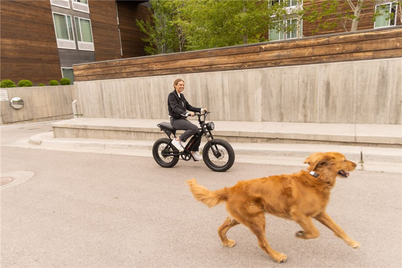 How To Do A Wheelie On A Ebike | Macfox