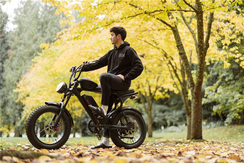 Hub Motor Electric Bike | Macfox