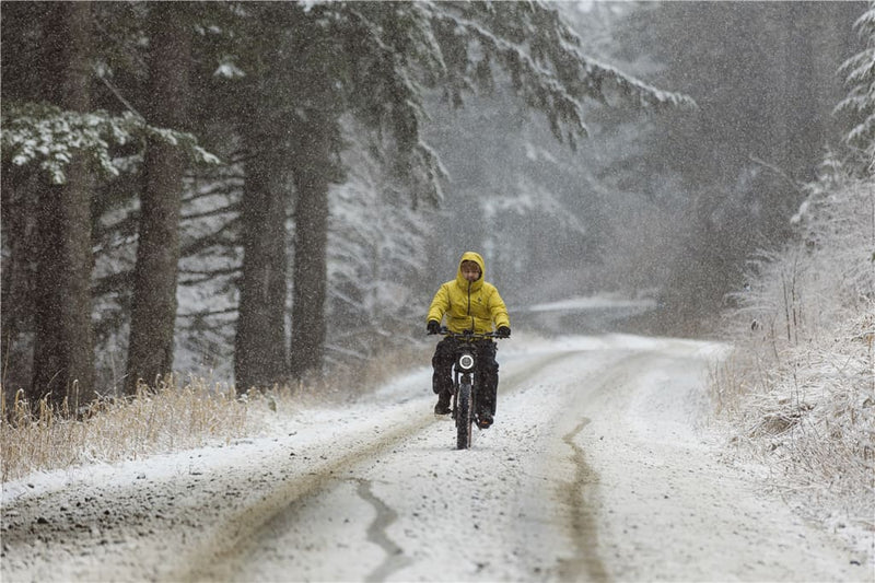 Macfox Electric Bike Is The Ideal Gift | Macfox Electric Bike