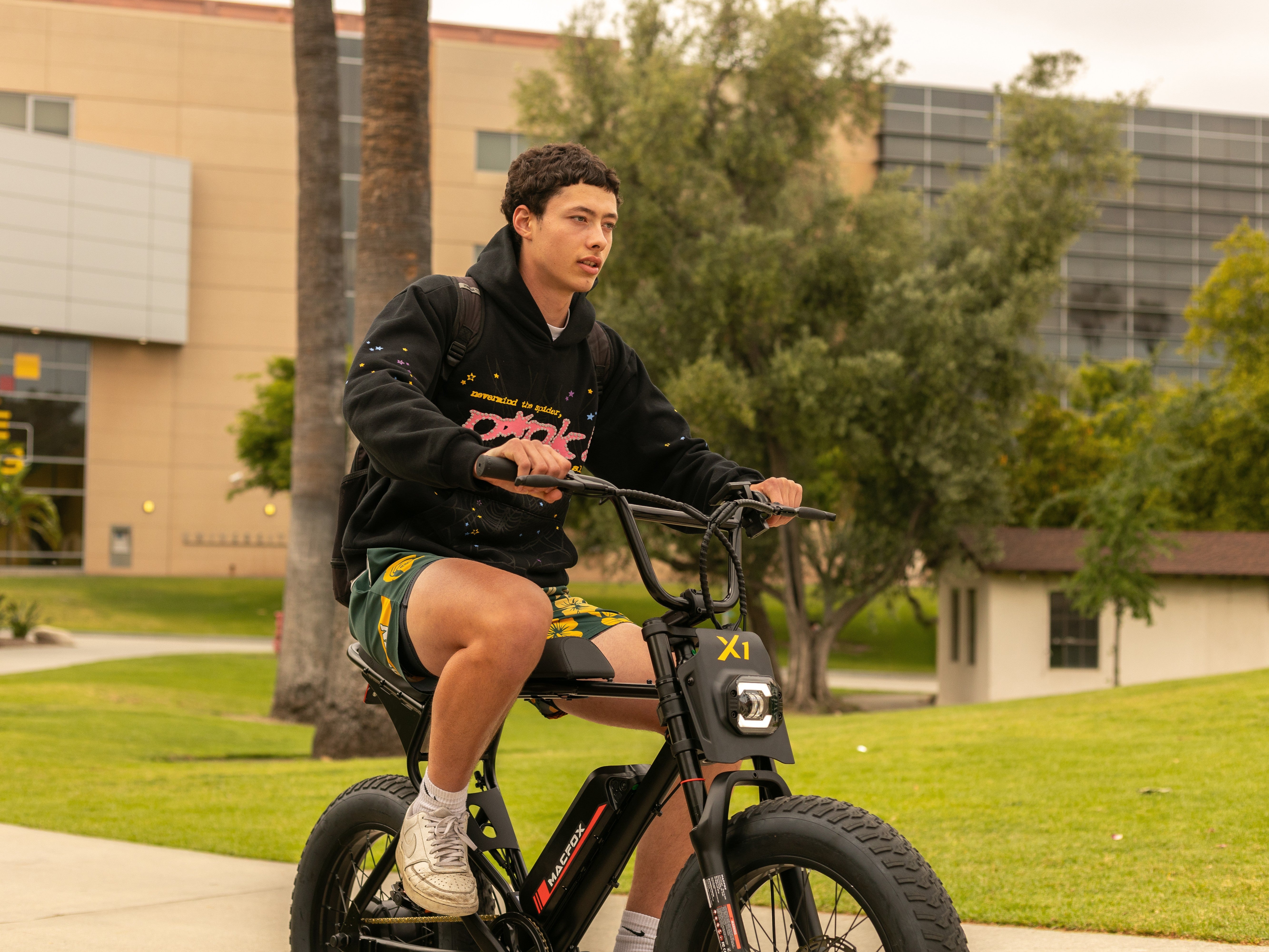 Bicycle Weight Limits: Maximum Capacities by Type