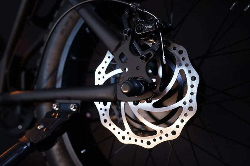 Rim or Disc Brakes