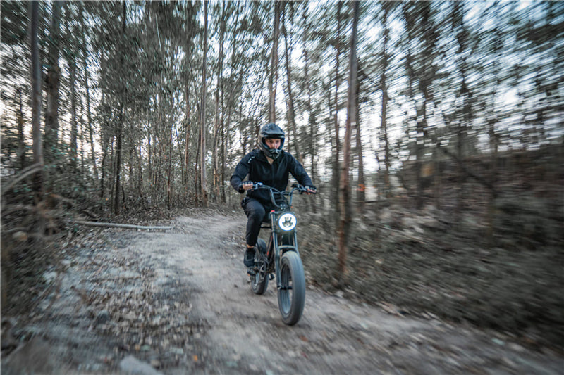 Scooter Or Ebike