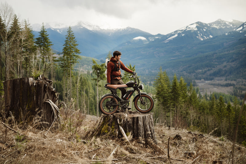 Single Vs Multi Speed Bikes | Macfox Electric Bike