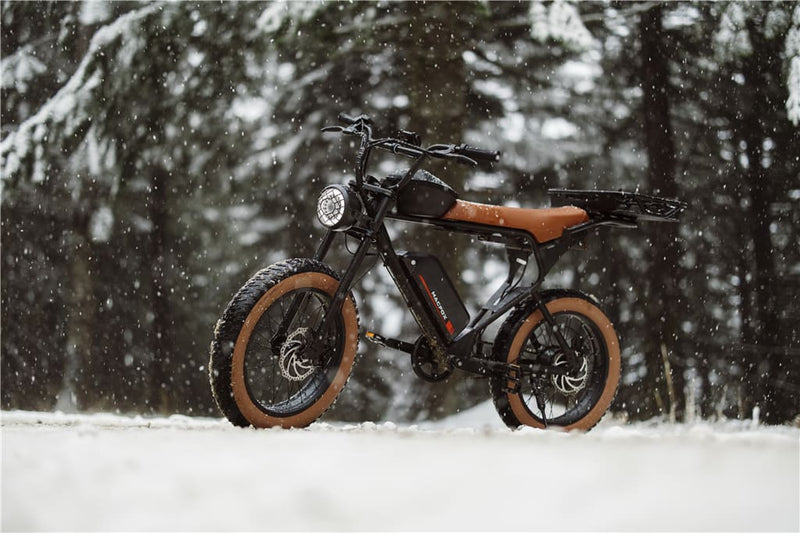 Types of Electric Bikes That Excel in Winter