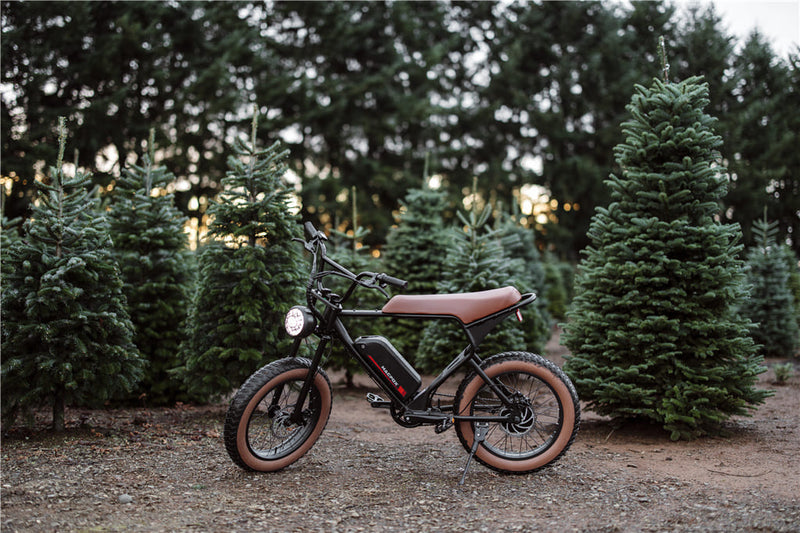What To Know About Ebikes | Macfox Electric Bike