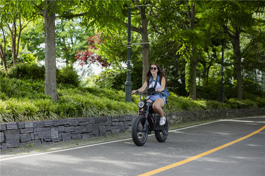 articles/Which-Motor-is-Best-for-Your-E-Bike.jpg