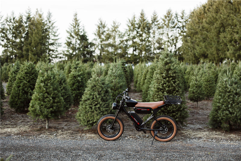Why Buy a Fat Tire Ebike | Macfox
