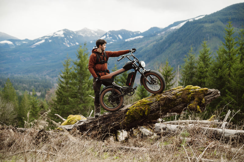 Why Do Electric Bikes Have Speed Limiters in the US | Macfox Electric Bike