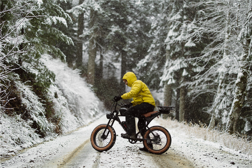 articles/Winter-Electric-Biking-Adventure.jpg