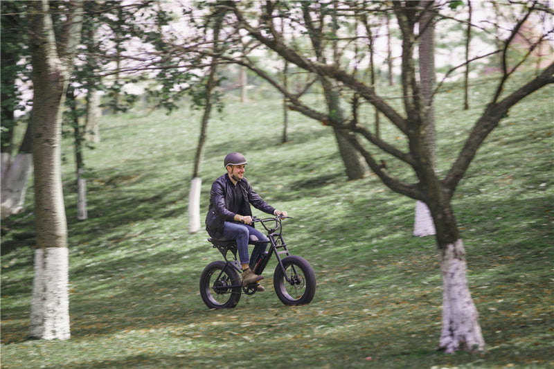 Best Fat Tire Electric Bike
