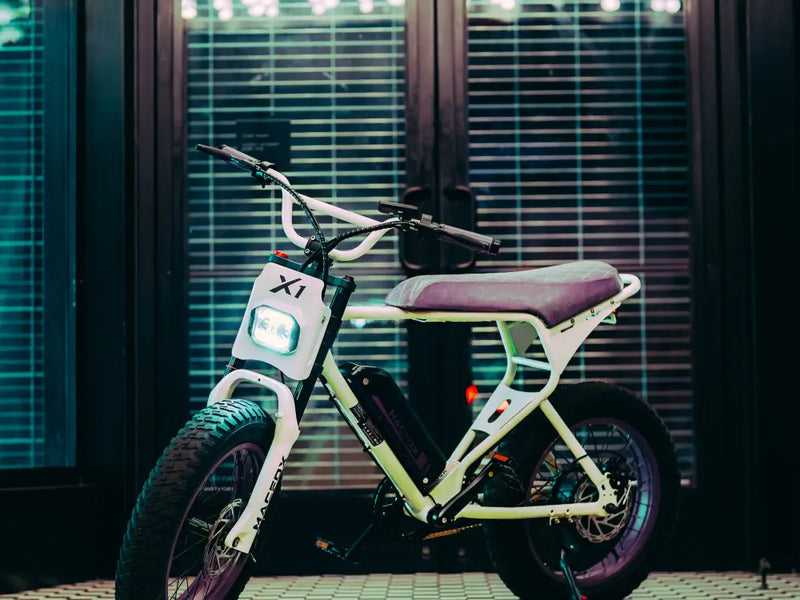 Macfox X1S × Bs.Zay special-edition eBike parked in front of a modern glass door.