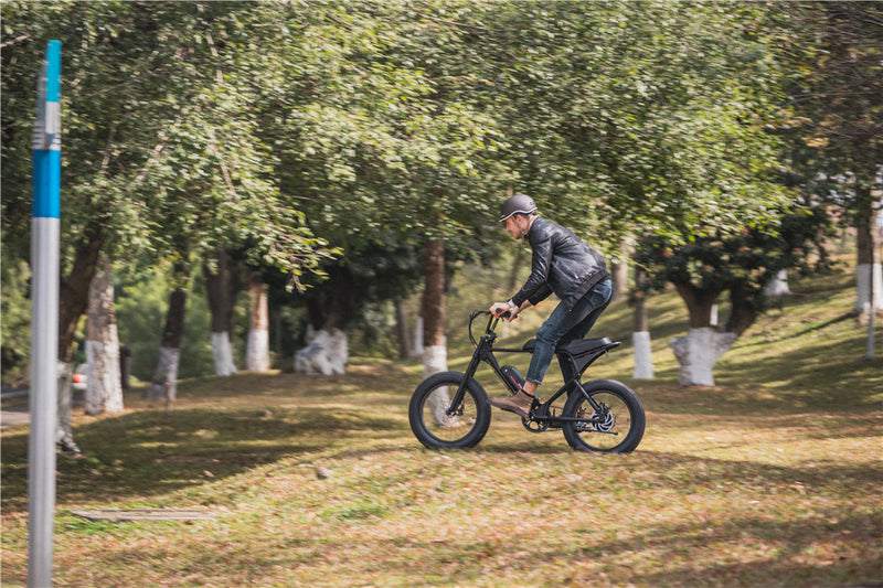 E Bike