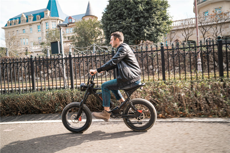 Ebike mountain bike