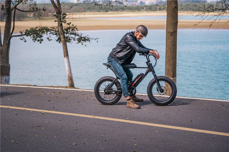 Electric bike for adults